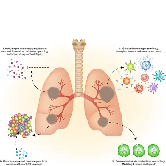 Tuberculosis Platinum Interferon Gamma Release Assay Test